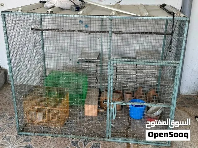 قفص كبير متر وربع ف متر ونص