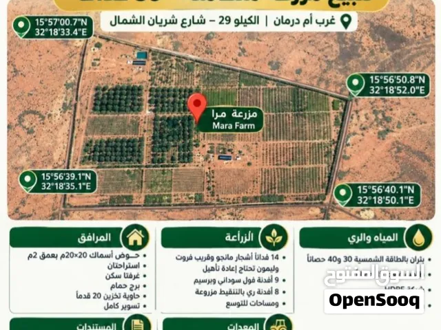 مزرعة غرب امدرمان شارع شريان الشمال بمساحة 59فدان