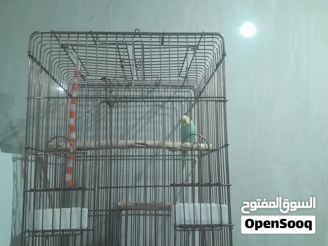 سلام عليكم ورحمة الله وبركاته للبيع قفص