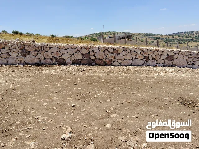 أرض في منطقة سياحية من أراضي عجلون مستصلحة مناسبة لبناء فيلا أو شاليه مساحة 1750 متر