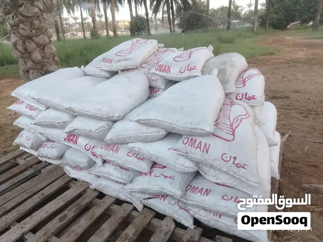 تمر نفيعة للبيع سعر جملة في ولاية صحم