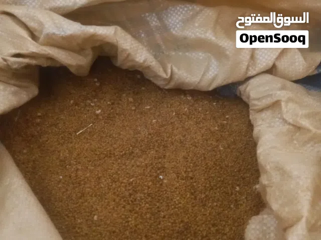 بذر قت عماني المن 55 ريال