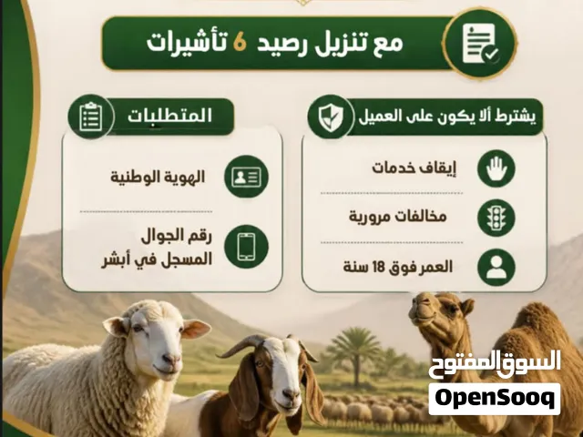 فتح ملف تأييد رعاه