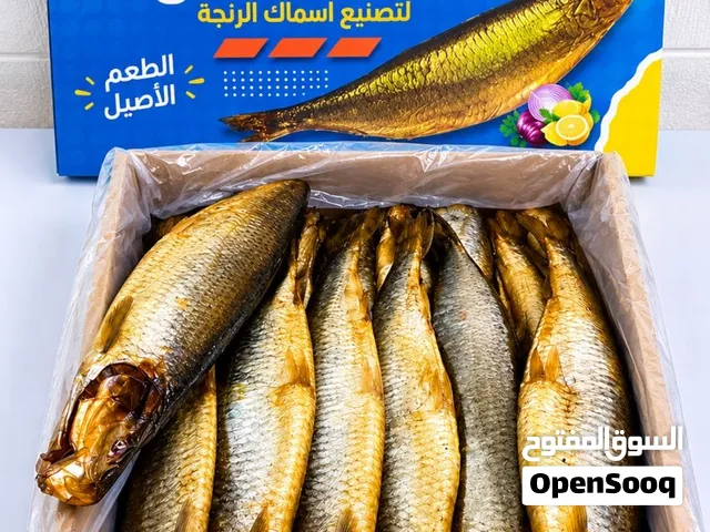 رنجه فريش من المصنع مباشر جرب و مش هتندم