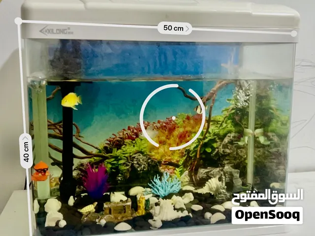 Fish Tank (Aquarium) with Decoration & fishes