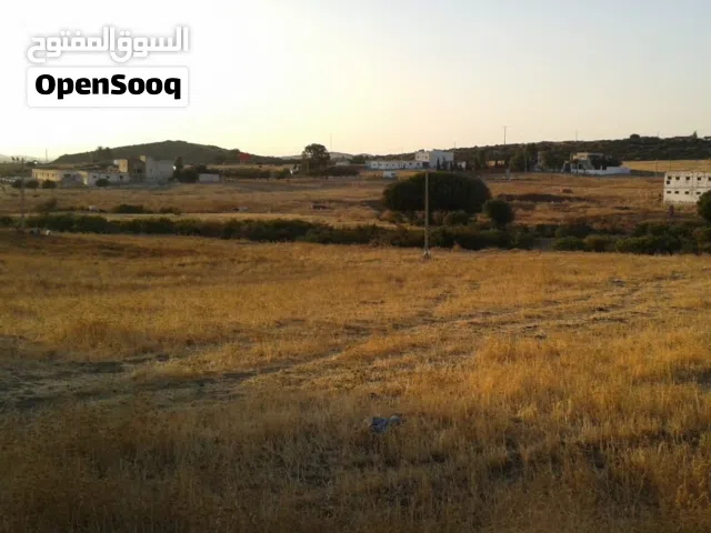 Farm Land for Sale in Tétouan Other
