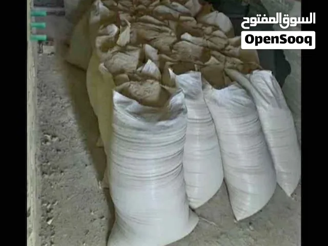 جص بناء جديد