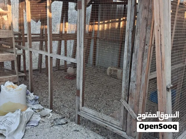 للبيع صندقتين  ب 47دينار ( تنفحت ل 8 قطع)