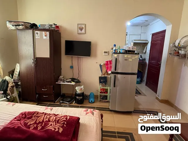 Roommate Wanted – Fully Furnished Studio Flat