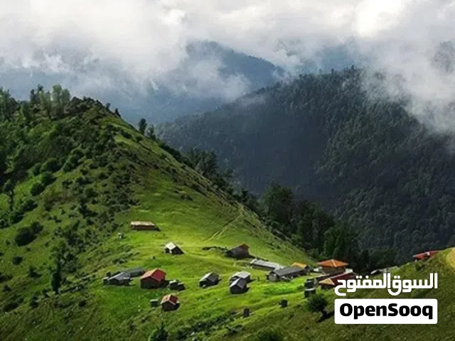 مرشد و مترجم سیاحی فی شمال ایران