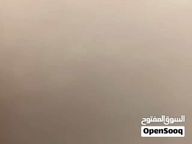 مطلوب غزال الريم انتايه
