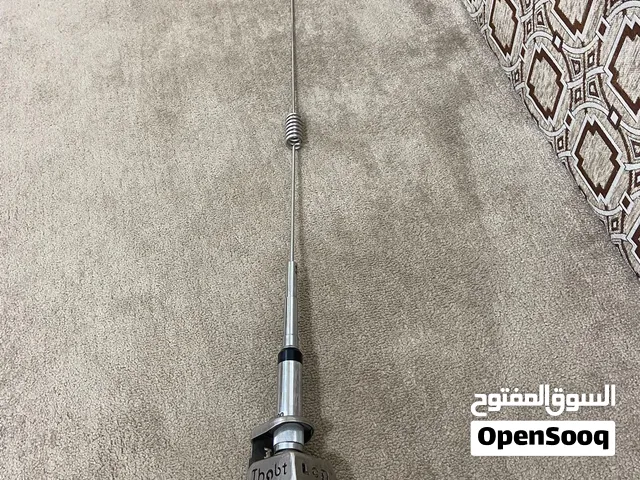 اريل ثابت جديد