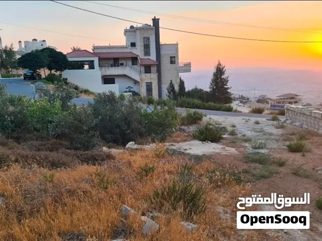 Residential Land for Sale in Amman Abu Nsair