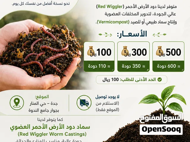 دود الأرض الأحمر (Red Wiggler) – دود الكومبوست