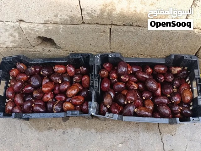ثمار الدوم البهش