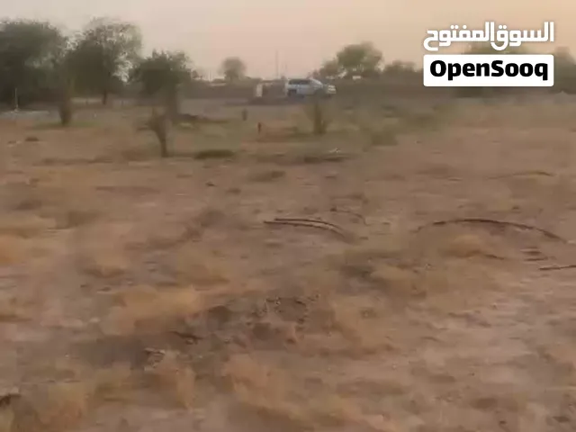 أرض زراعية للبيع في المدام