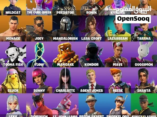 حساب وايلد كات ما يربط سوني الإيميل وهمي