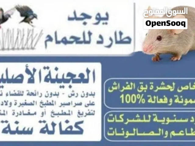 مكافحة حشرات وقوارض