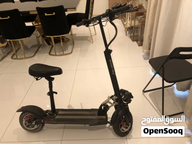 This is winner sky scooter e10