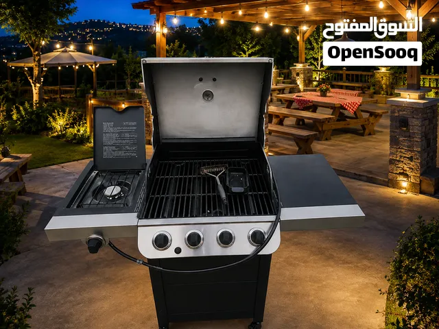 BBQ gas system with touch stove