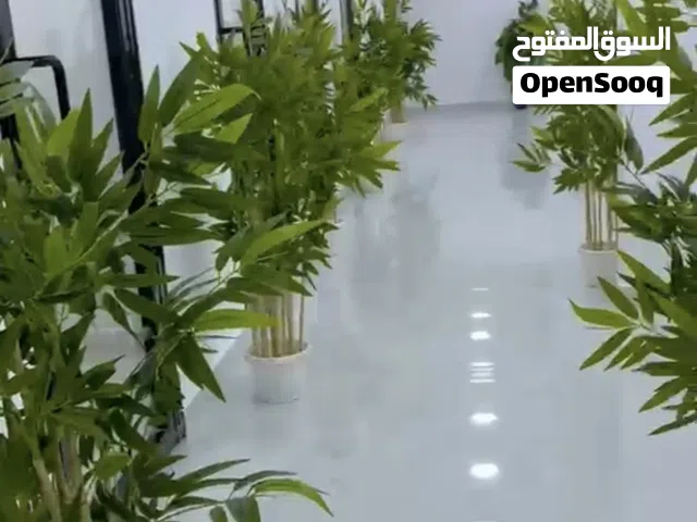 محل ومكتب للايجار بدون عموله وبدون تامين