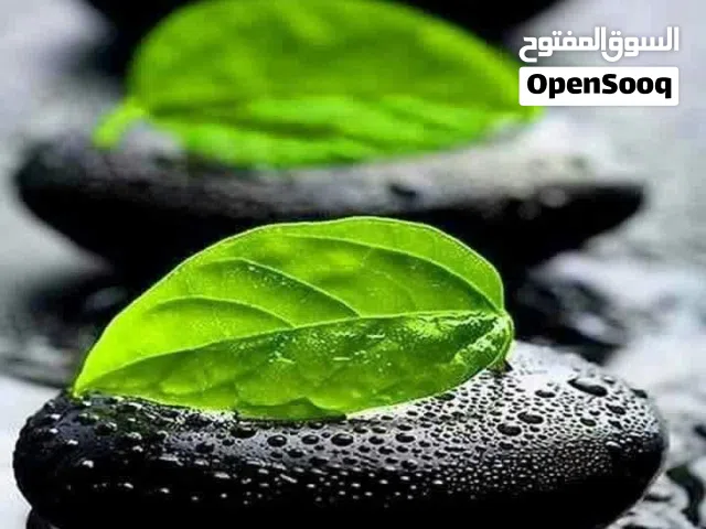 معلمه فيزياء ذات خبره طويله