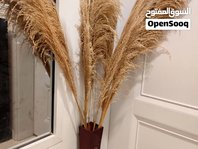 شجرة للزينه