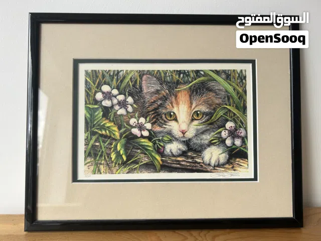 Mounted Cat Print in 35cm x 27cm frame for Hanging
