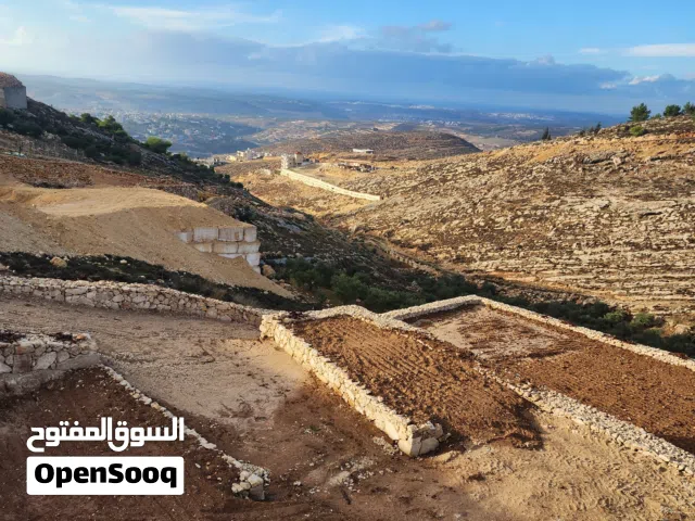 ارض للبيع حلحول بقار القصر الصيني