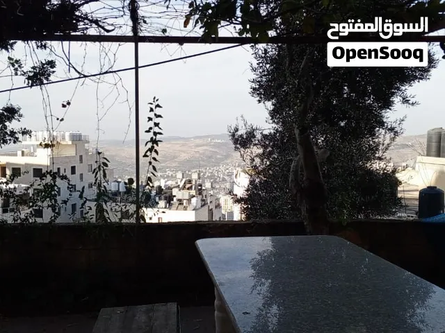 شقة للايجار