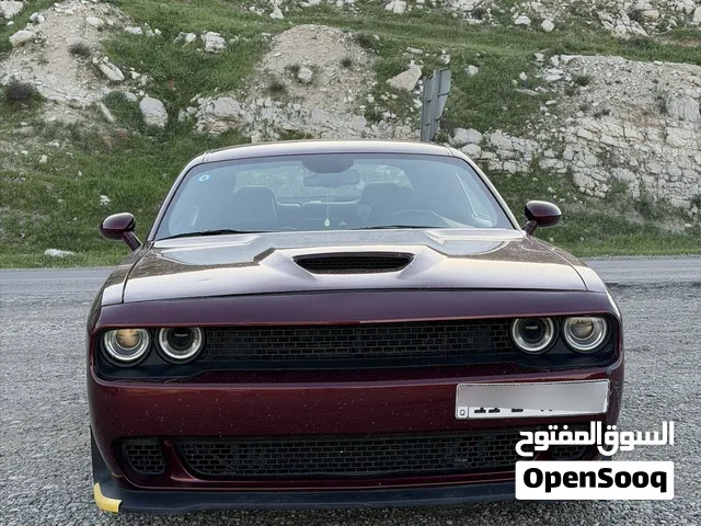 Used Dodge Challenger in Baghdad