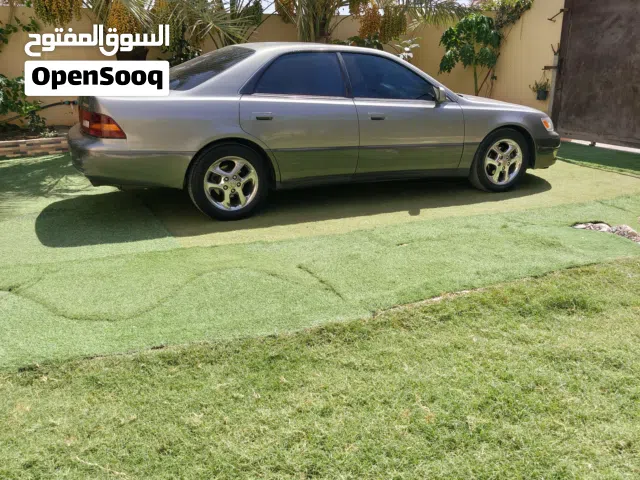 لكسز الكبش