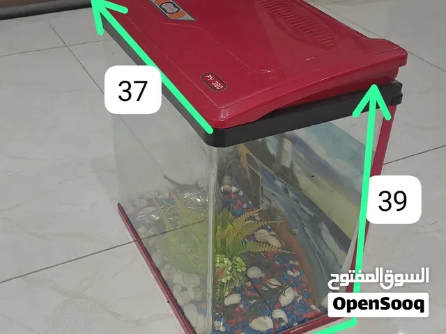 حوض صغير للسمك small Aquarium