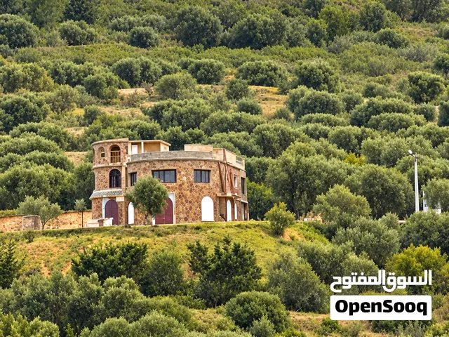 Ferme 9,5 Ha avec Villa – Projet Touristique Dayet Roumi