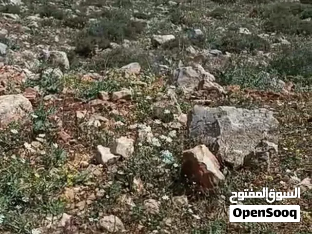 Residential Land for Sale in Nablus New Nablus