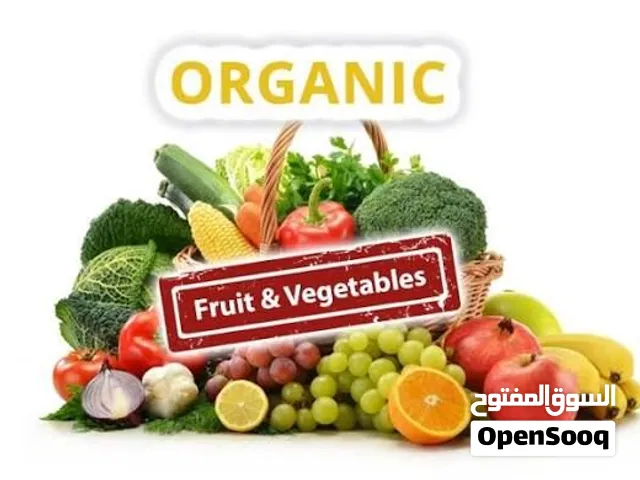 الاستثمار في خطط الإنتاج الزراعي العضوي