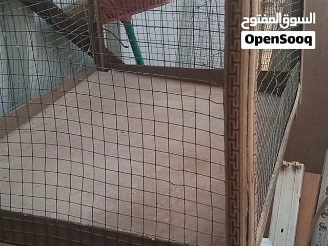 قصص للبيع سعر 10