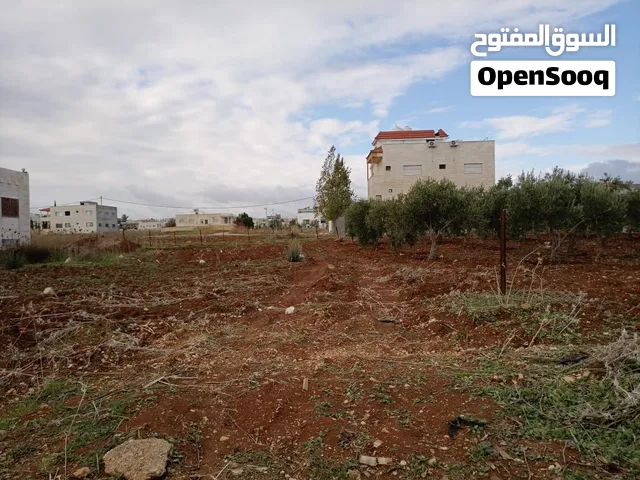 Residential Land for Sale in Irbid Al Sareeh