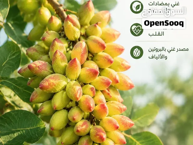 الفستق الاکبری (فاخرطویل ـطازج جدا)