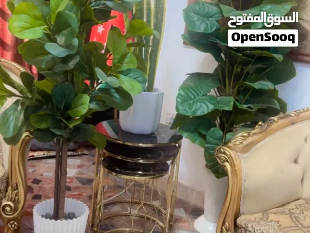 زرعات 3 سعرهن سوه 60 الف