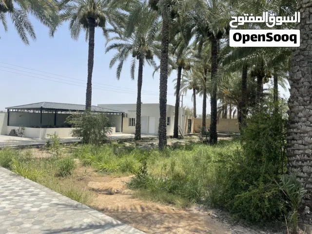 فرصة لا تعوض.. مزرعة خضراء وبها ملحق استراحة بكافة الخدمات وموقع متميز قريب من الشارع العام..