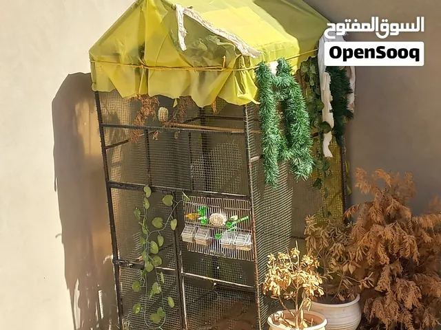 قفص بوكس طيور