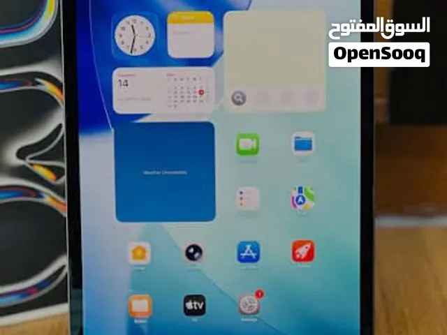 iPad Pro 11 m5 256g 100% battery