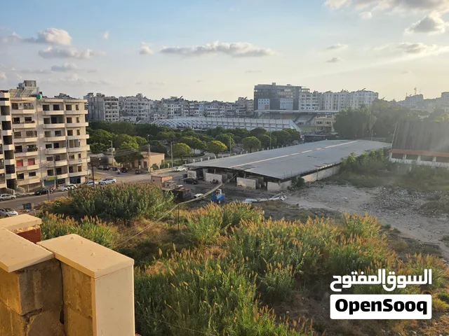 منزل وسط جبله للبيع 176 متر ورا الملعب جبله الرياضي