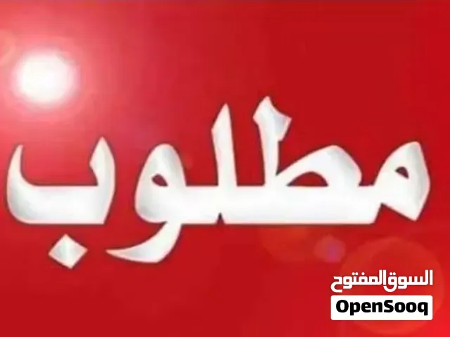 مطلوب شقة للايجار لعائلة صغيرة اجانب