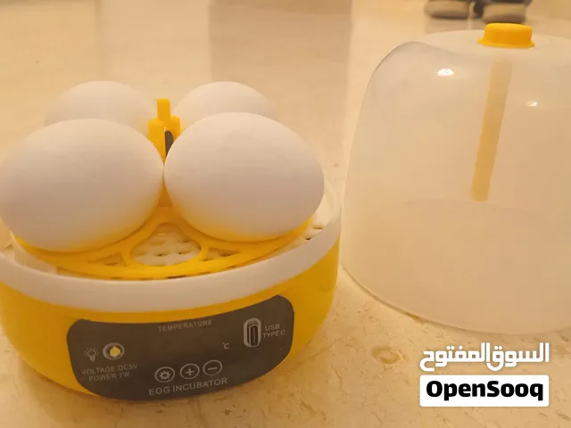 فقاسة 4 بيضات دجاج