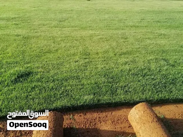نجيل طبيعي من مزارعنا مباشره لبيتك ونجيل صناعي باحدث الخامات وجميع الاطول