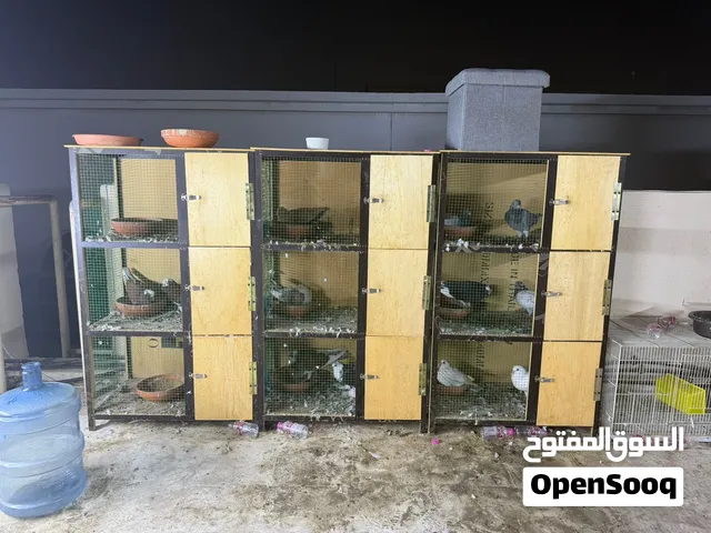 9 خانات للبيع