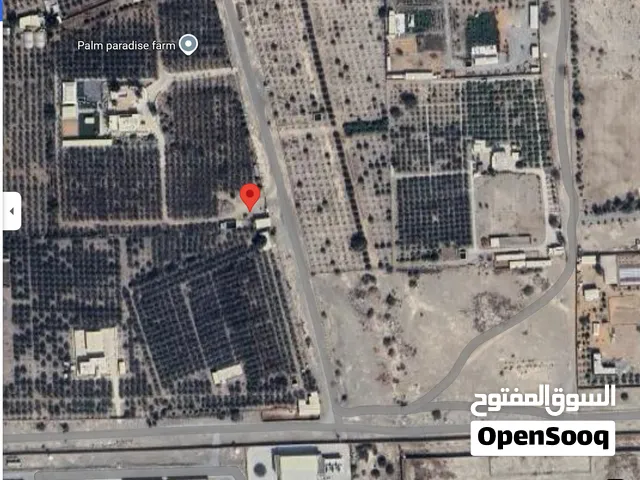 مزرعة فاخرة للبيع في رأس الخيمة بمساحة 166000 قدم مربع
