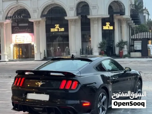 موستانك كلين اسود 6v